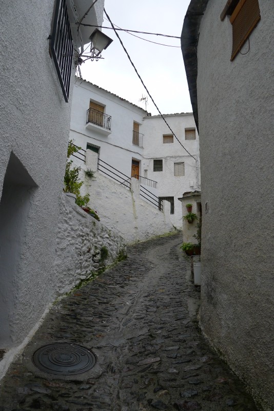 p1020996.jpg