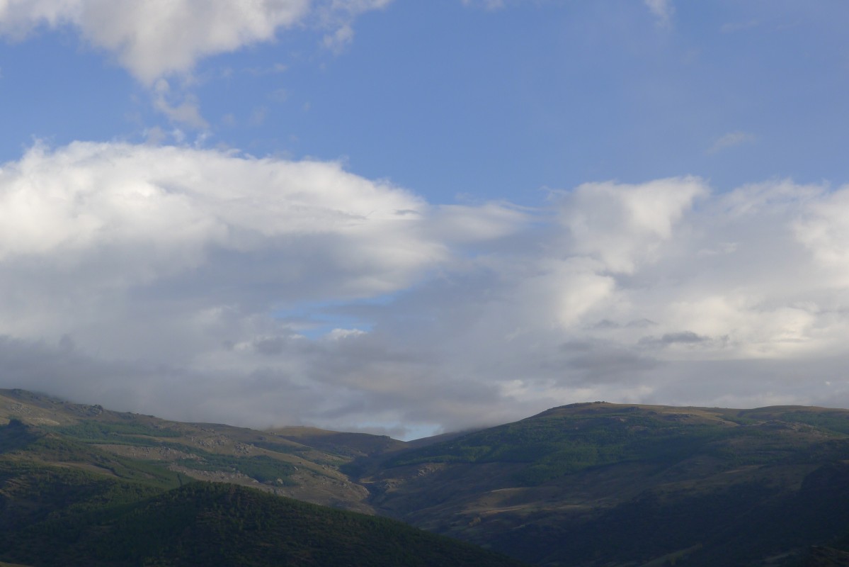 p1030043.jpg