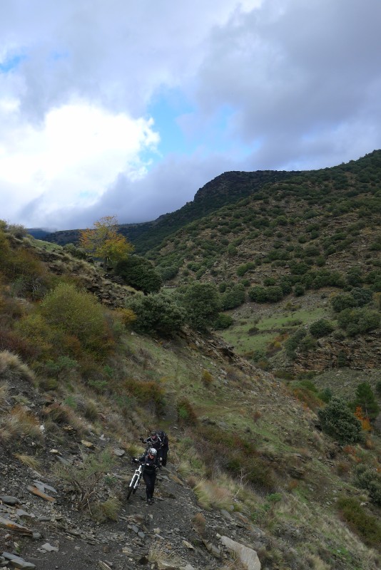 p1030161.jpg