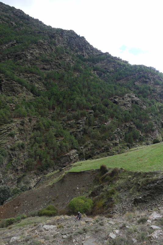 p1030162.jpg