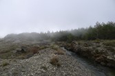 p1030137.jpg