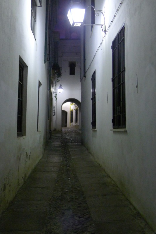 p1030186.jpg