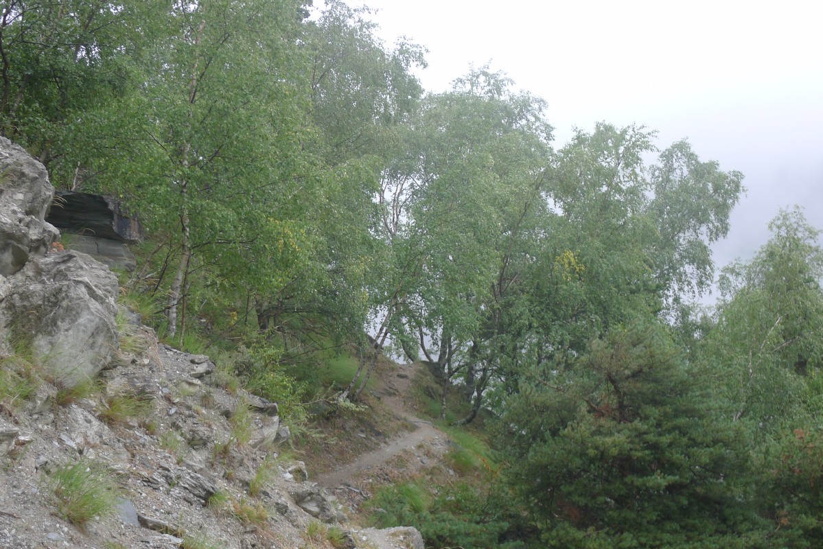 p1020360.jpg