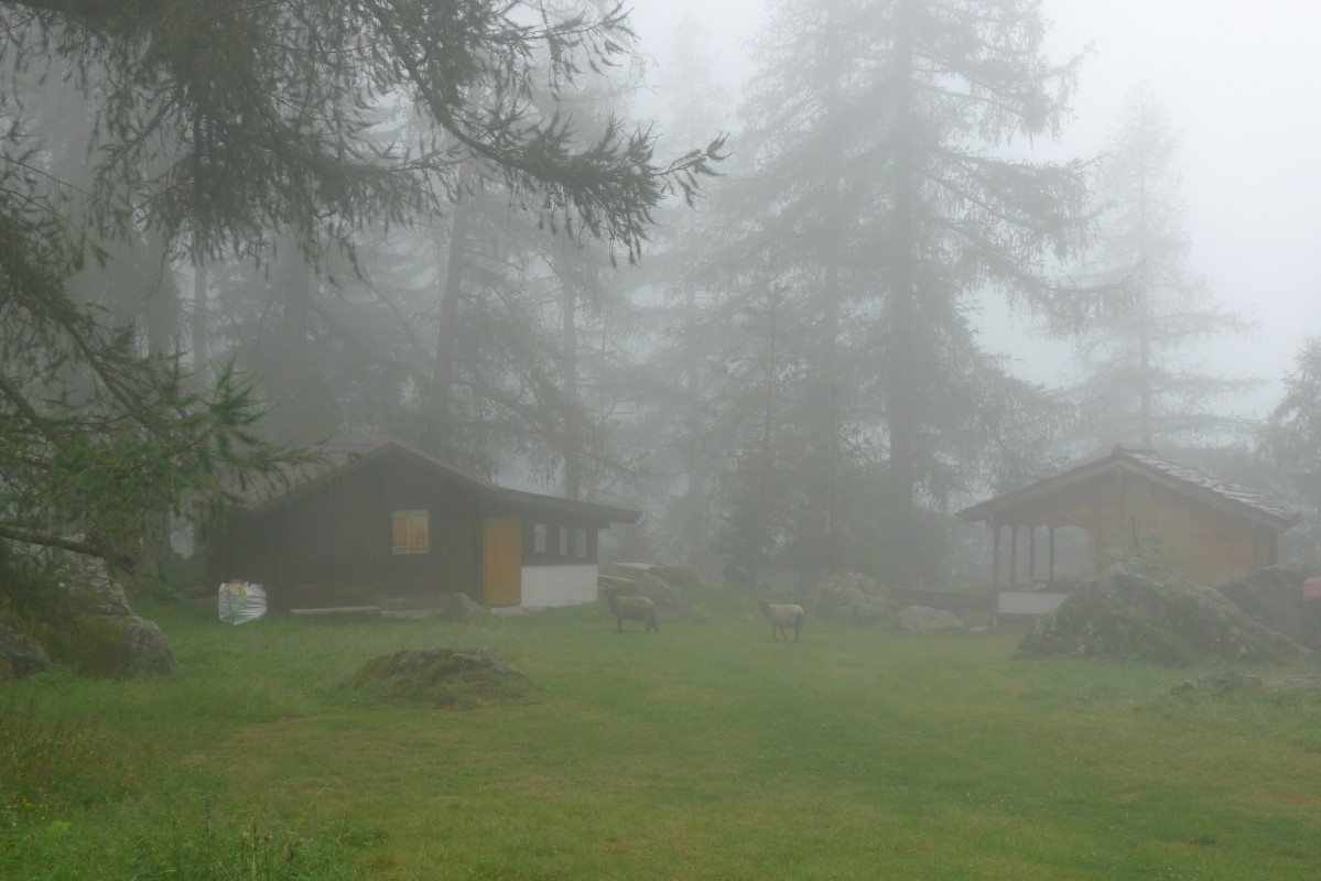 p1020368.jpg