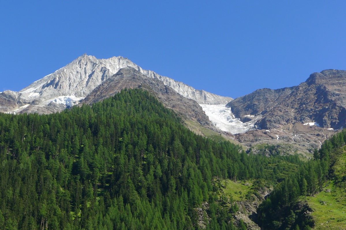 p1020441.jpg