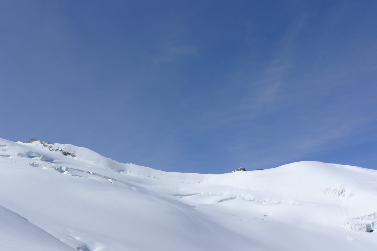 p1020009.jpg