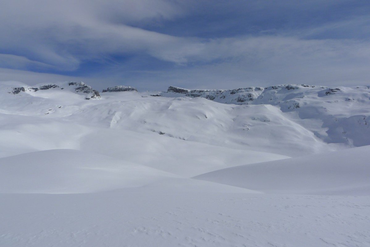 p1000990.jpg