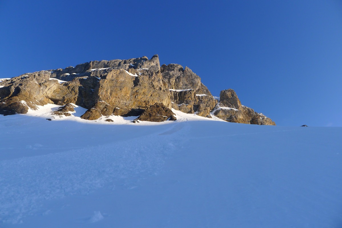 p1000997.jpg