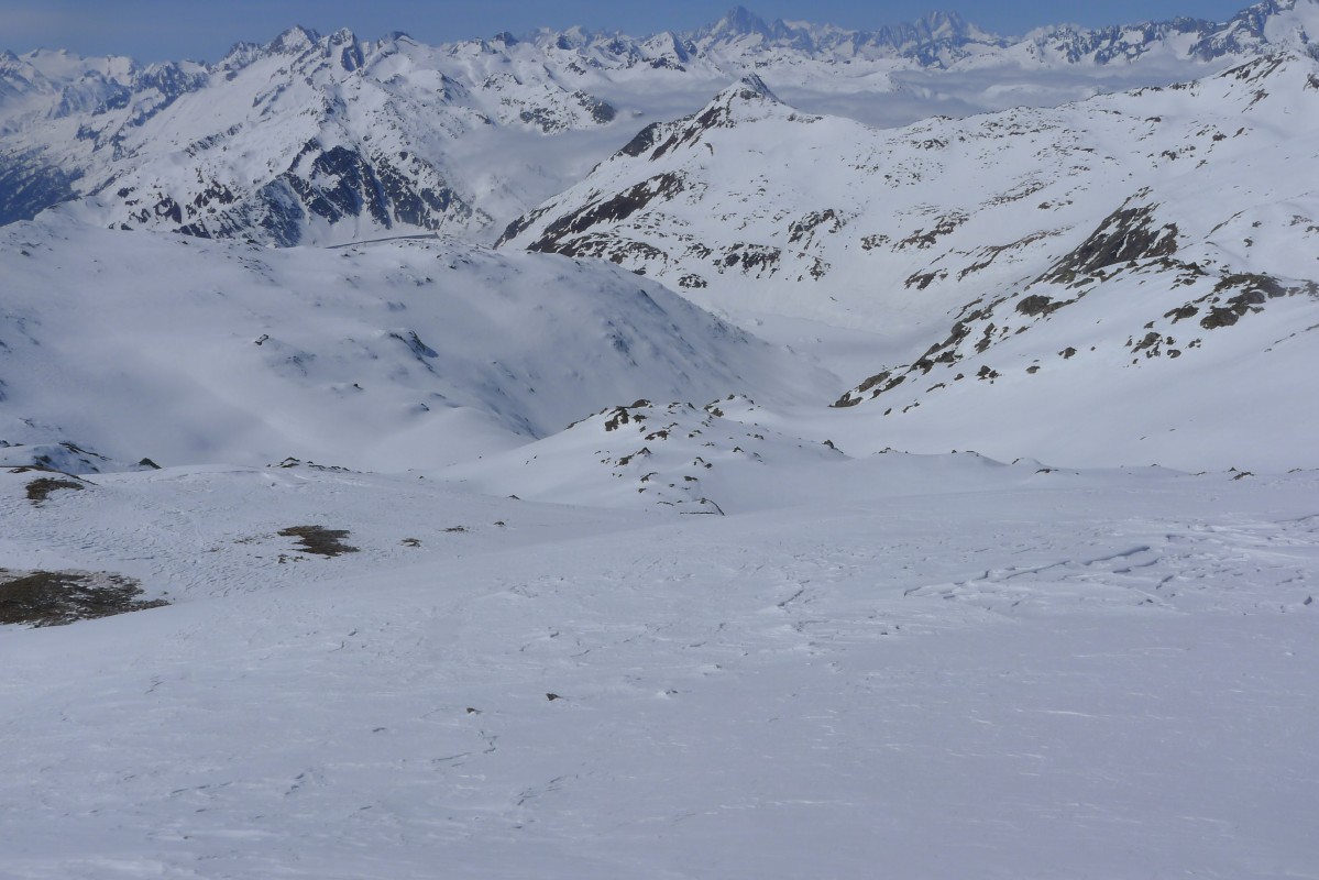p1010363.jpg