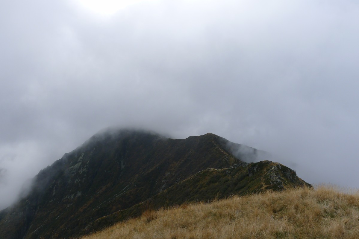 p1020756.jpg