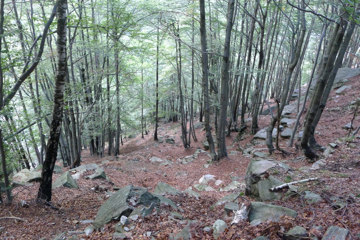 p1020766.jpg