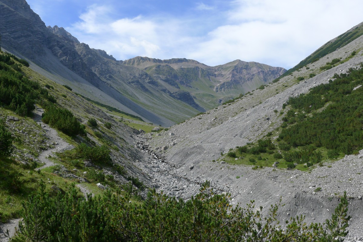 p1020317.jpg