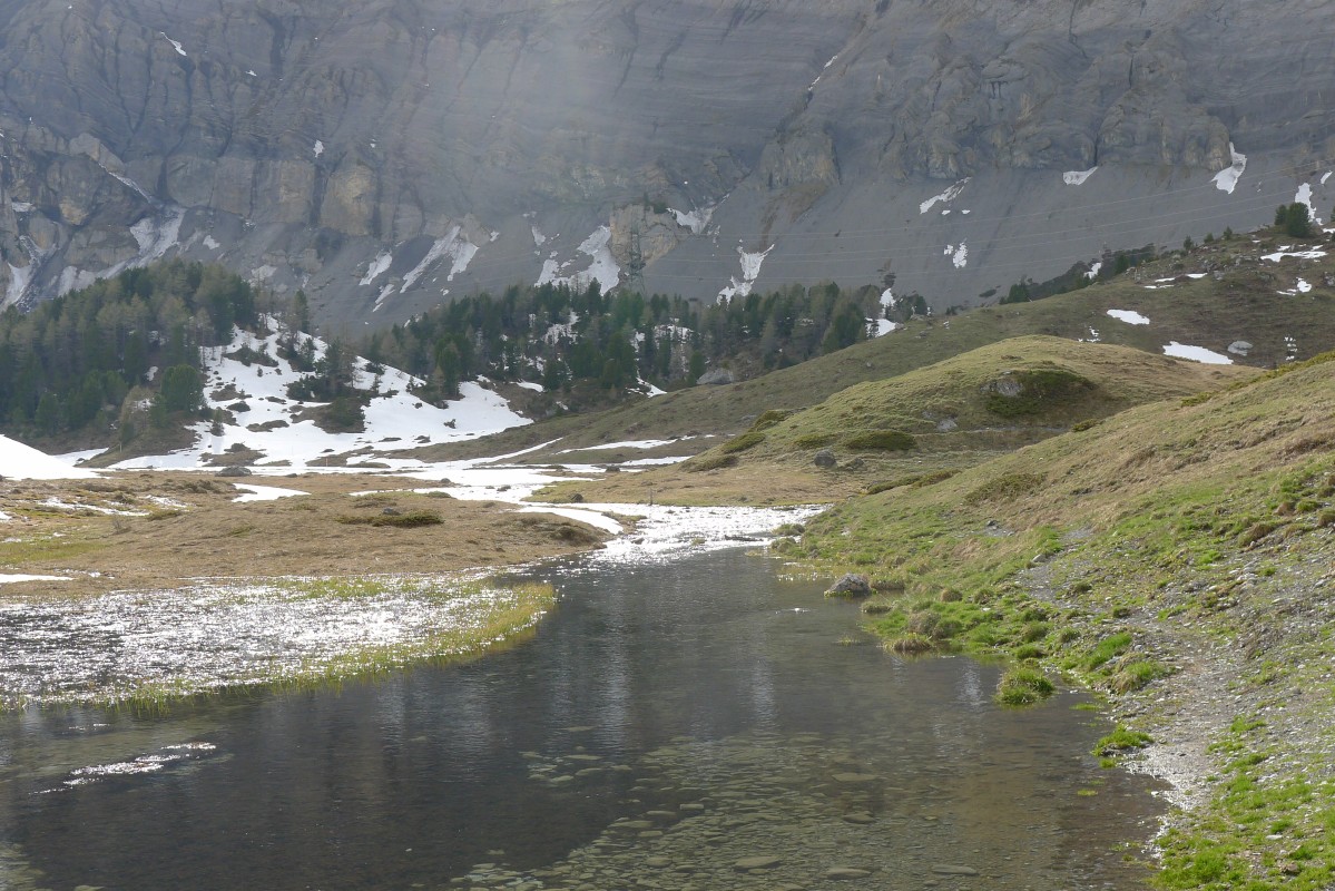 p1010773.jpg