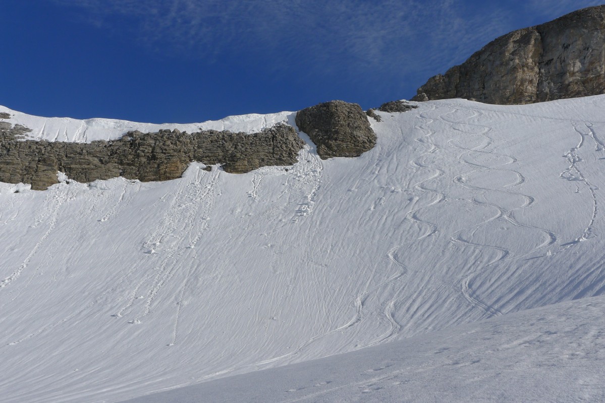 p1010816.jpg