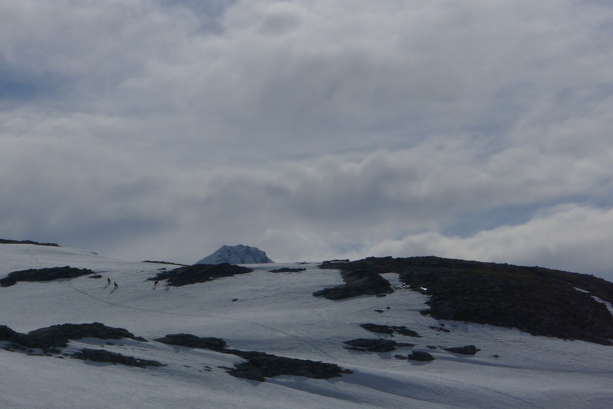 p1010824.jpg