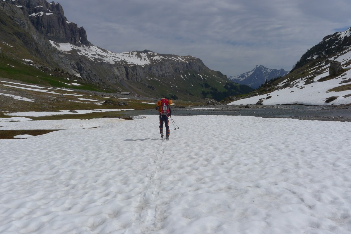 p1010834.jpg