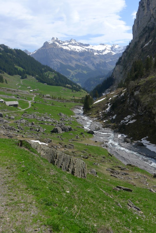 p1010838.jpg