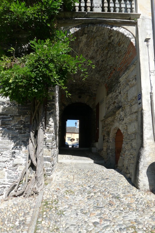 p1020591.jpg