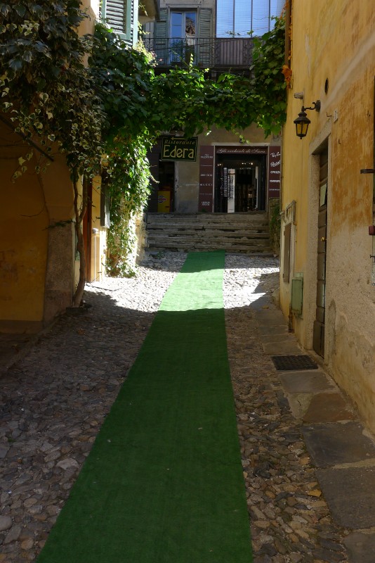 p1020596.jpg