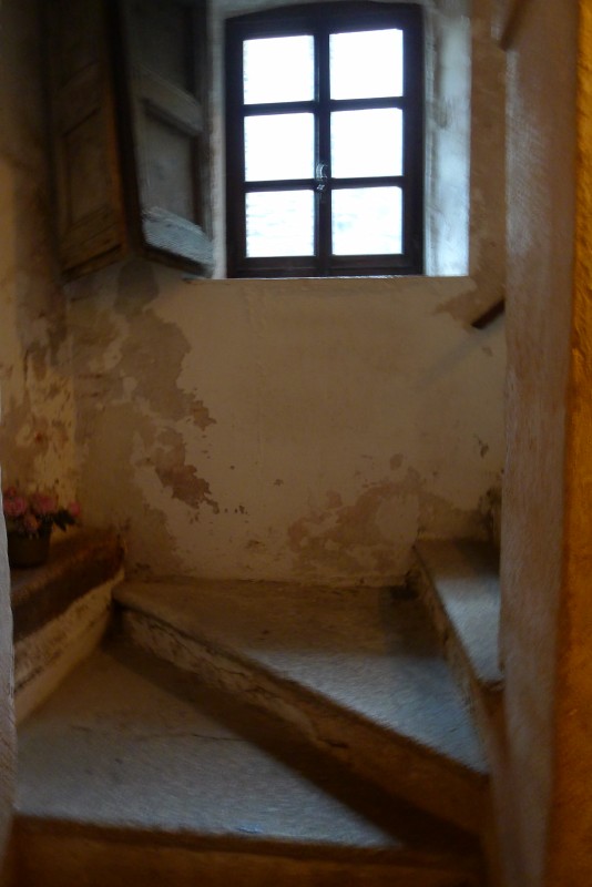p1020621.jpg