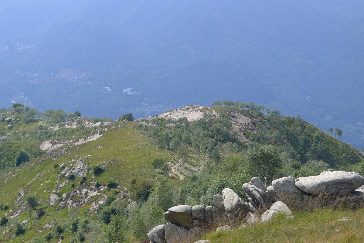 p1020646.jpg