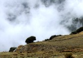 In Andalusien