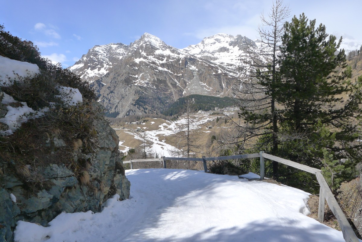 p1010656.jpg