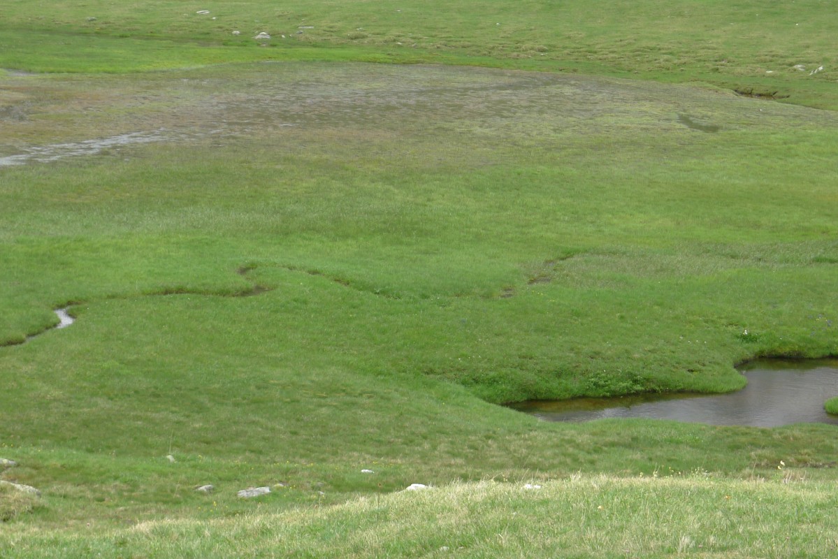 p1020100.jpg