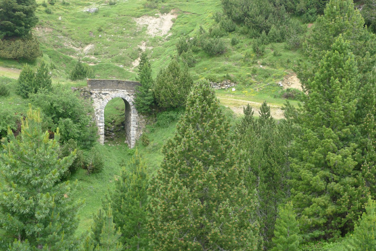 p1020120.jpg