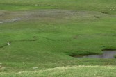 p1020100.jpg