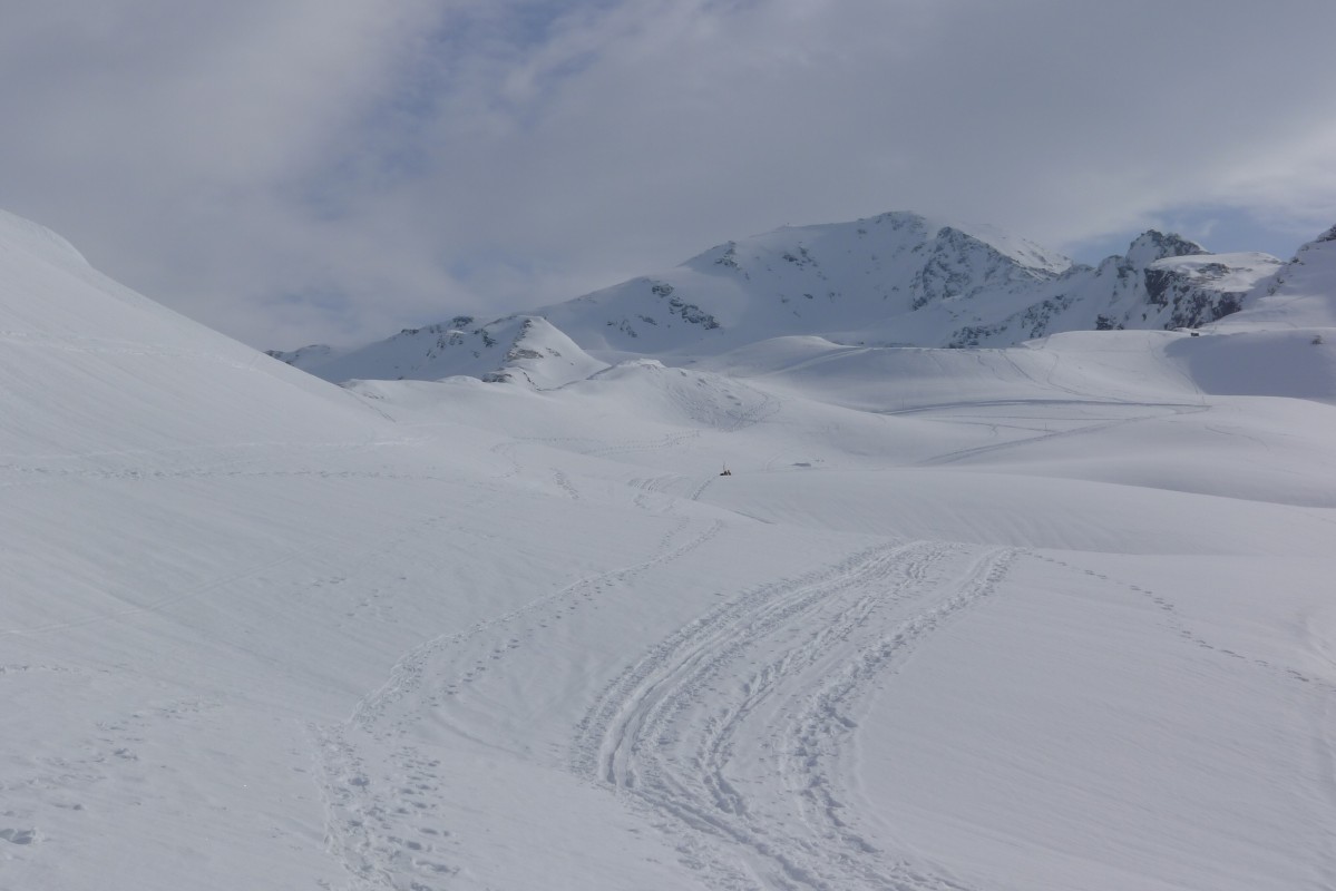 p1000865.jpg