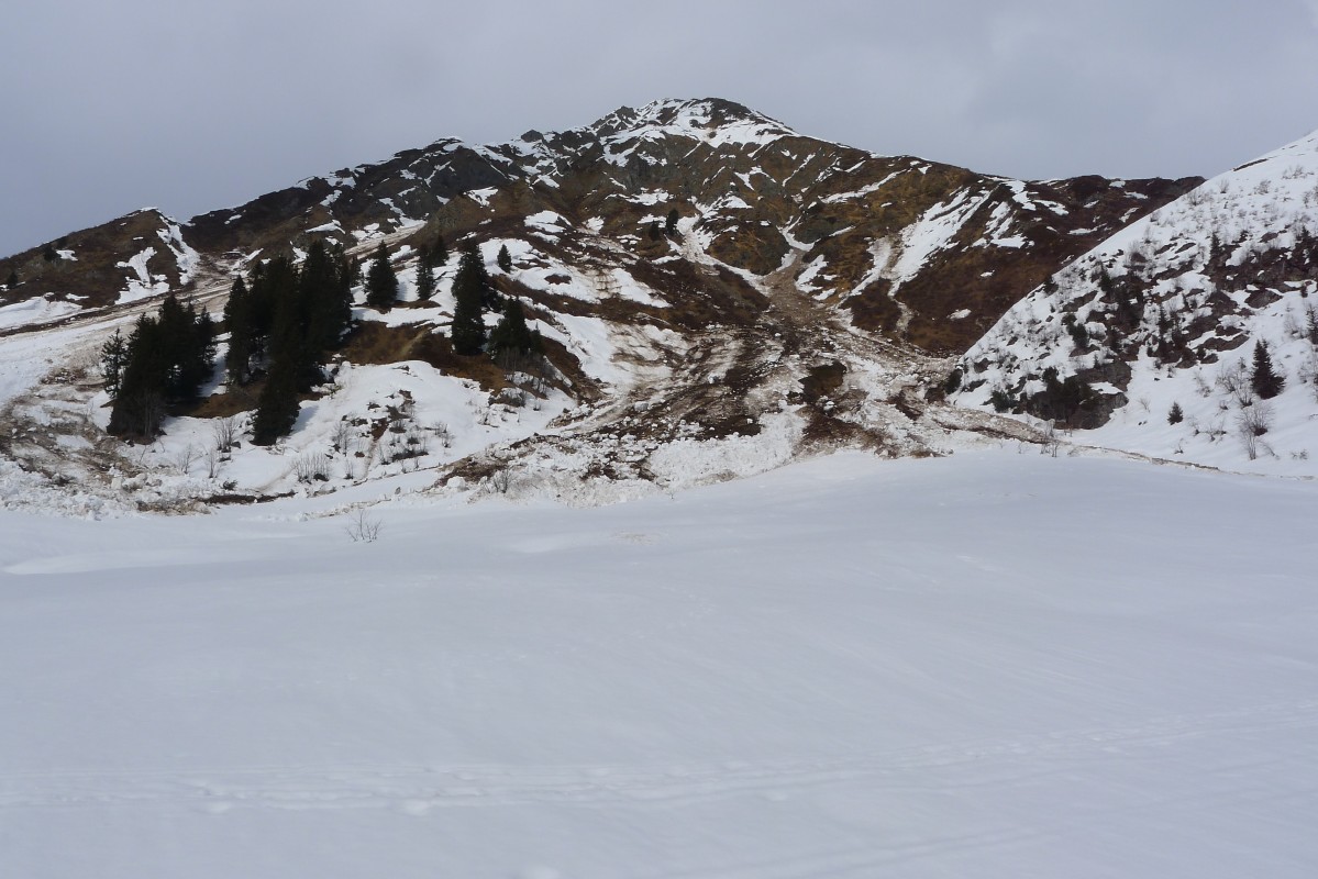 p1010182.jpg