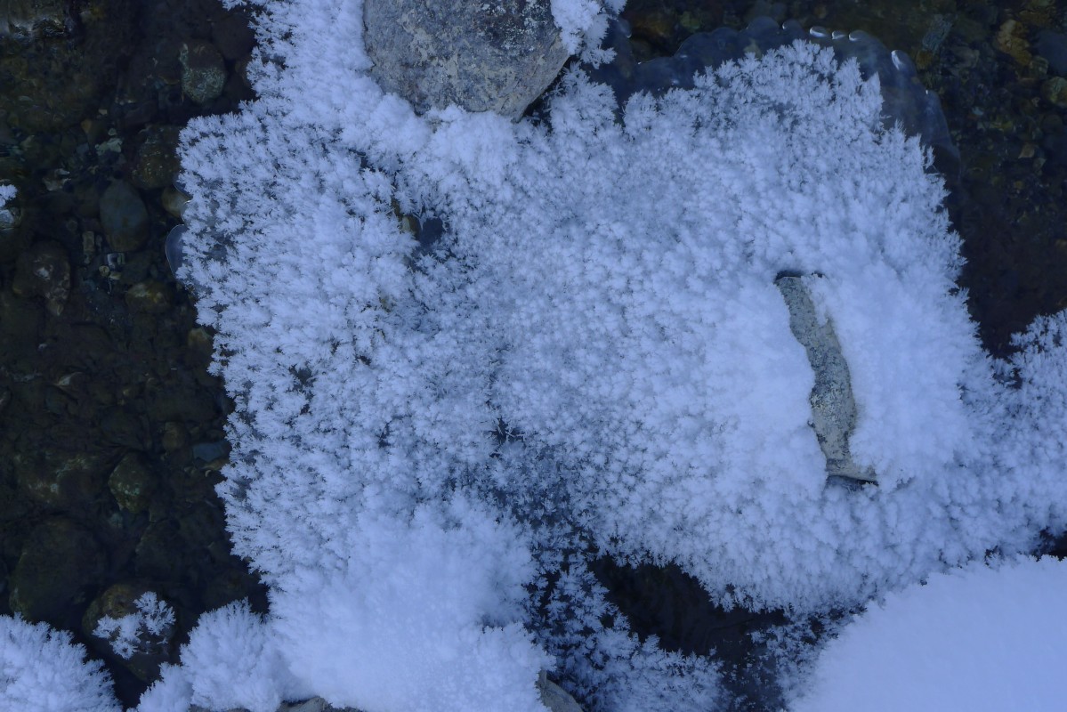 p1000644.jpg