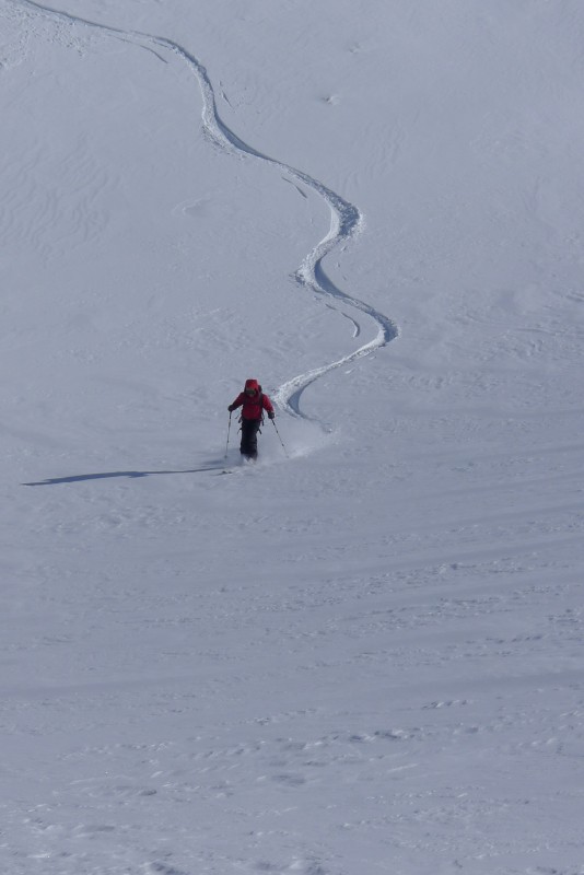 p1000694.jpg