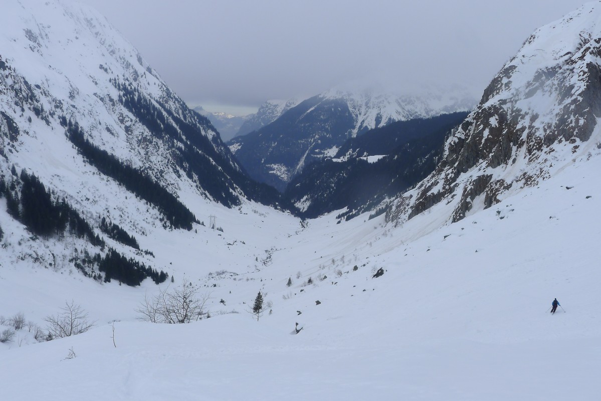 p1000861.jpg