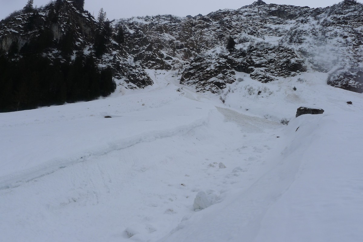 p1000862.jpg