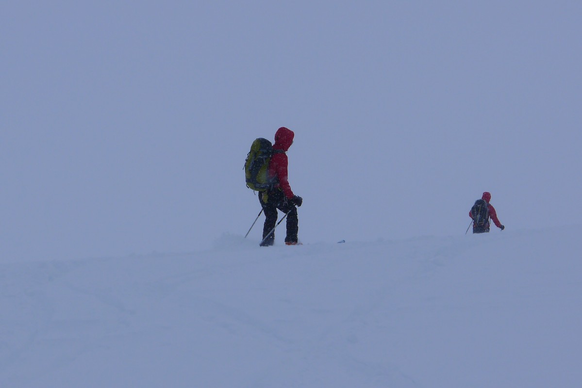 p1010684.jpg