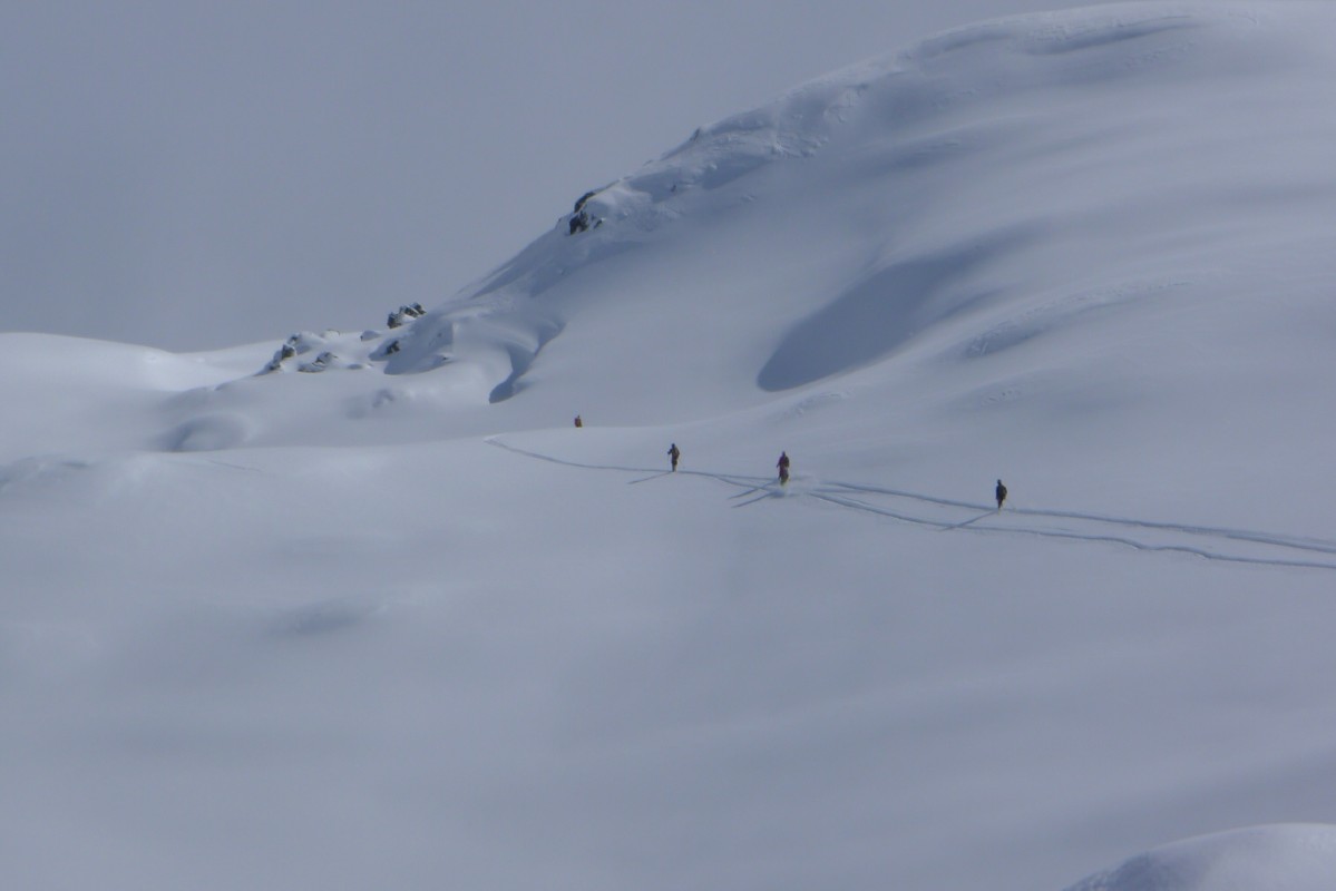 p1010733.jpg