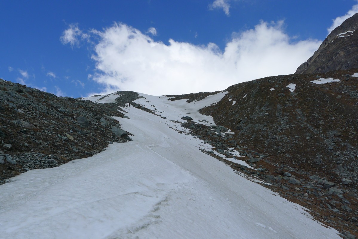 p1010893.jpg