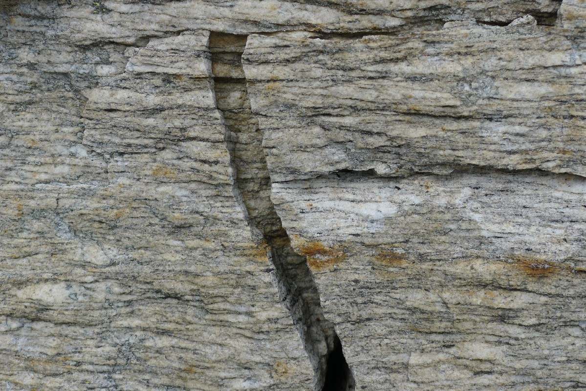 p1020167.jpg