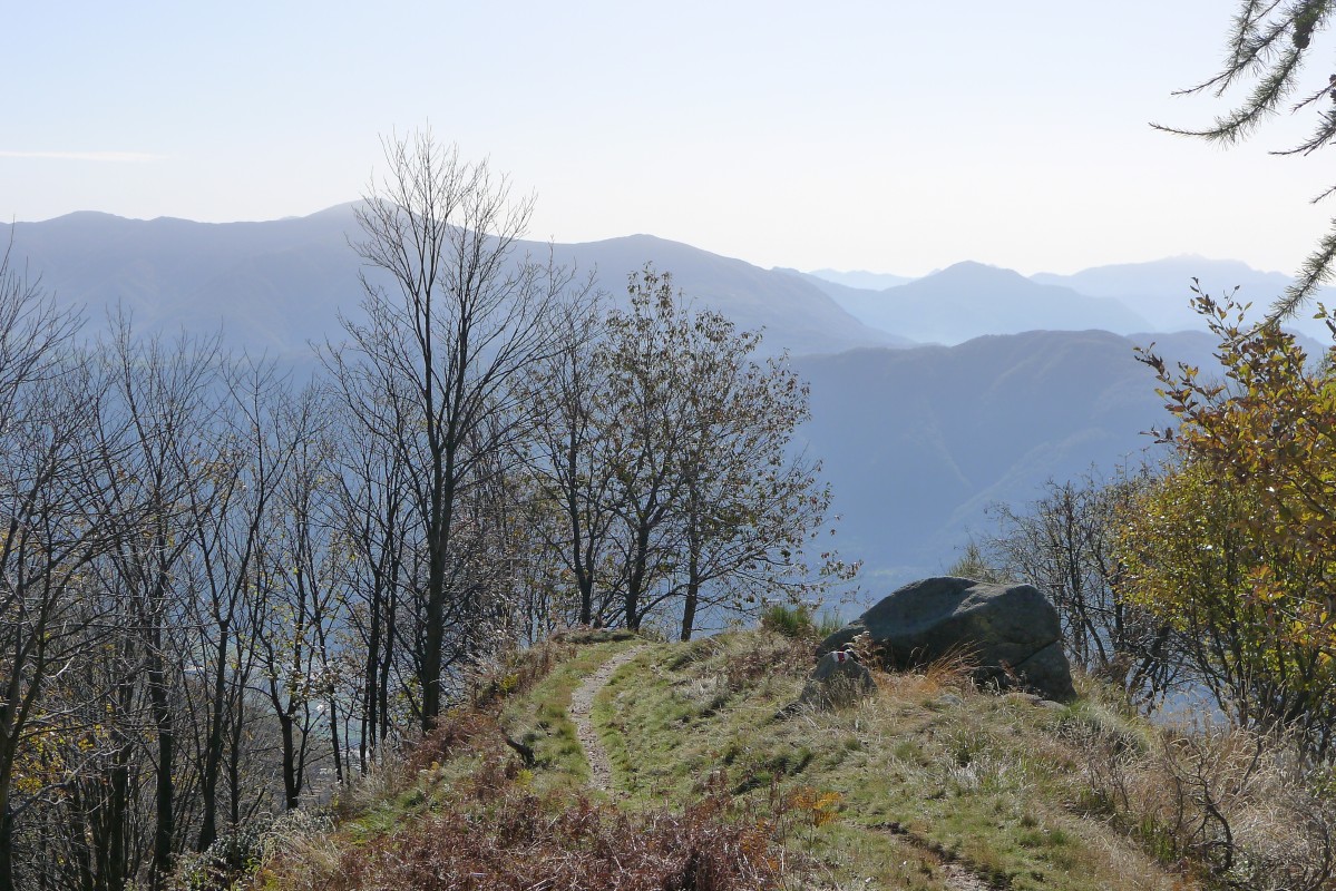 p1020815.jpg