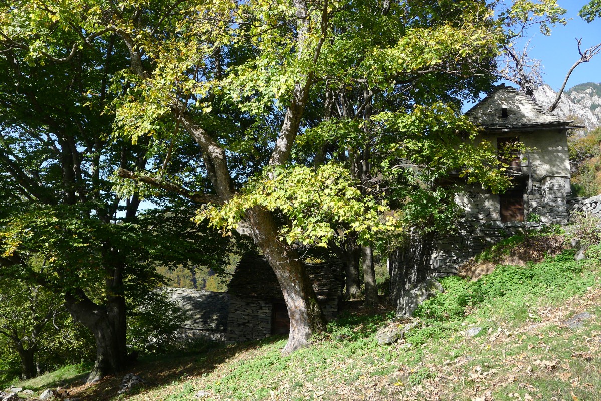 p1020819.jpg