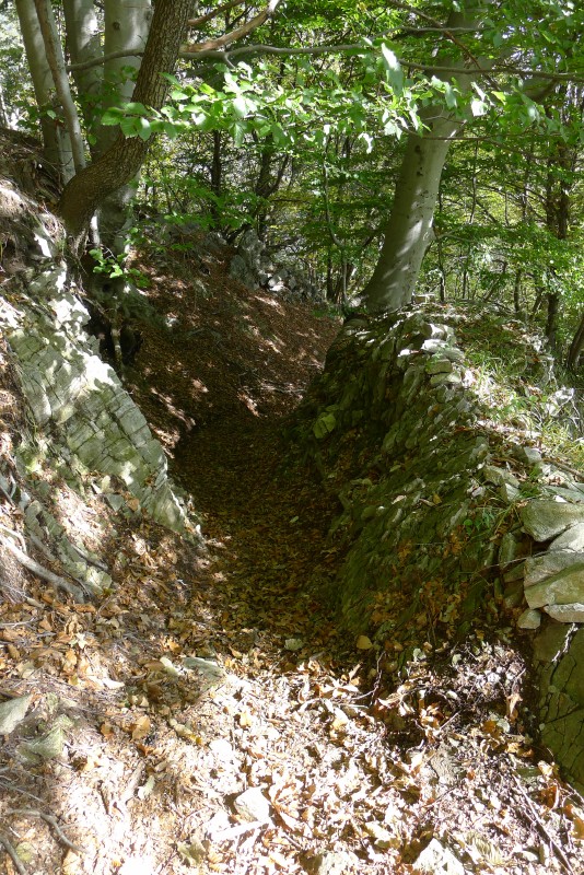 p1020826.jpg