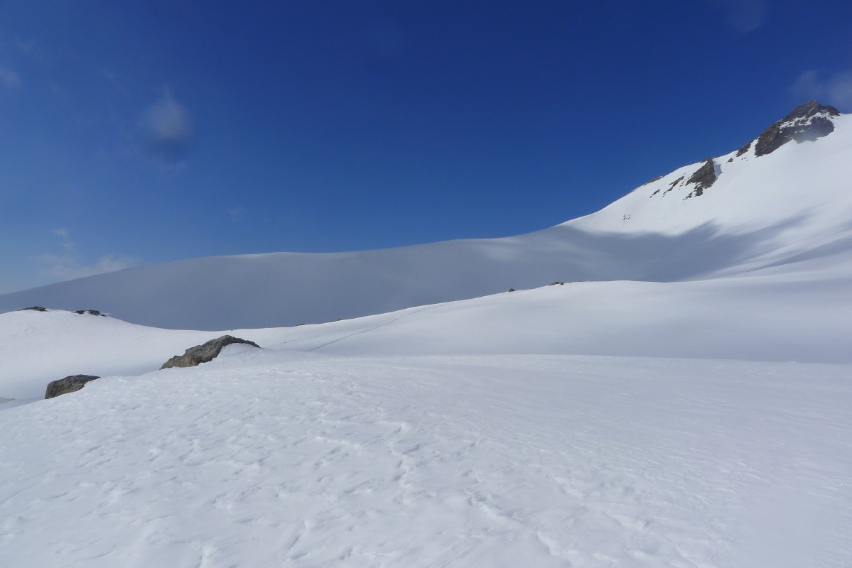 p1010255.jpg