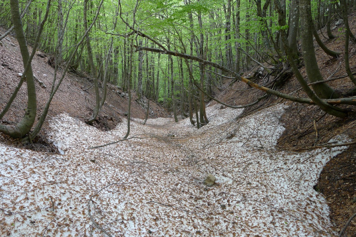 p1040848.jpg