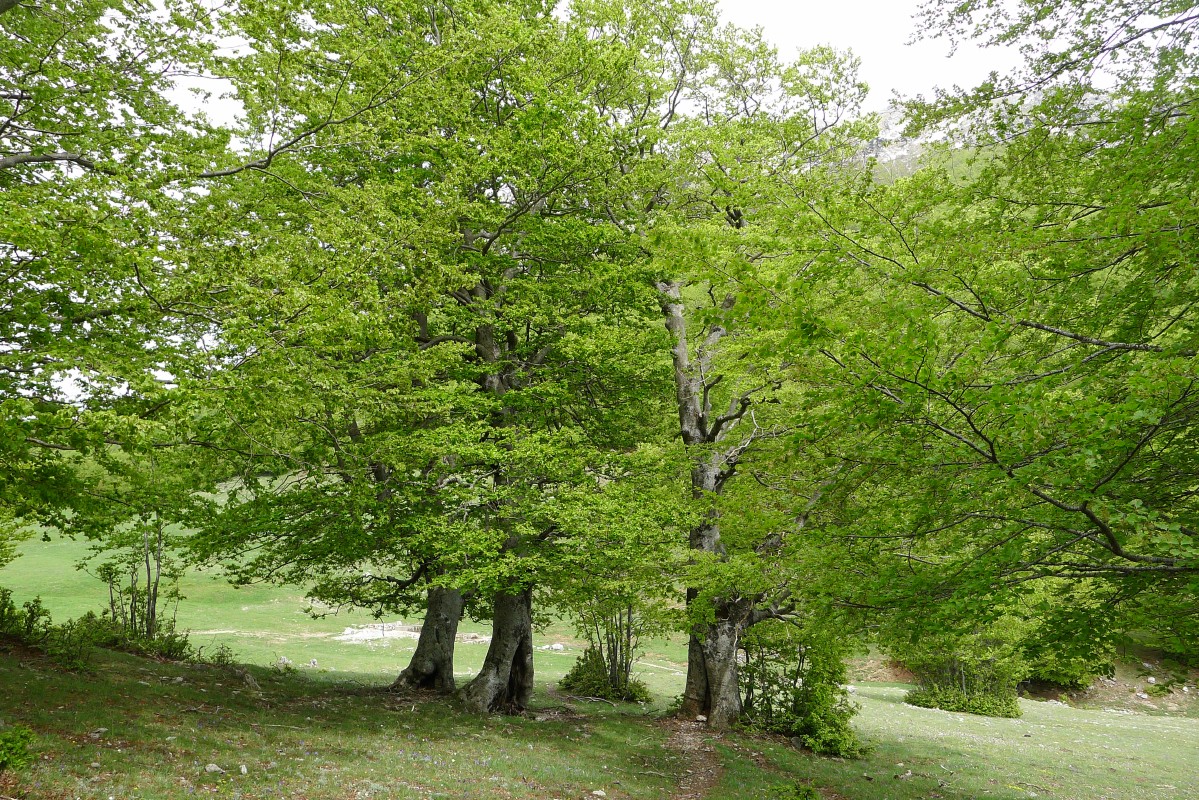 p1040853.jpg
