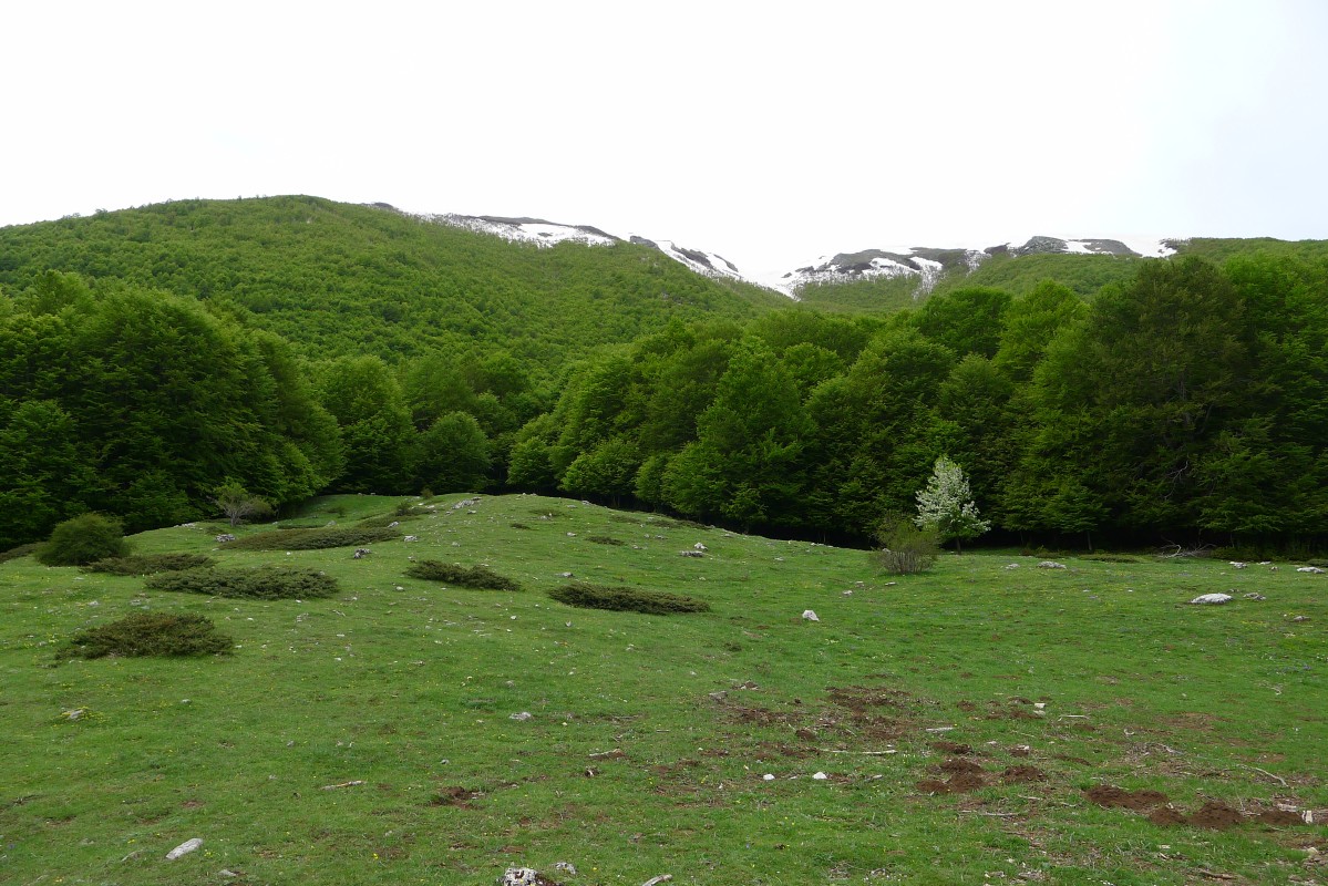 p1040859.jpg