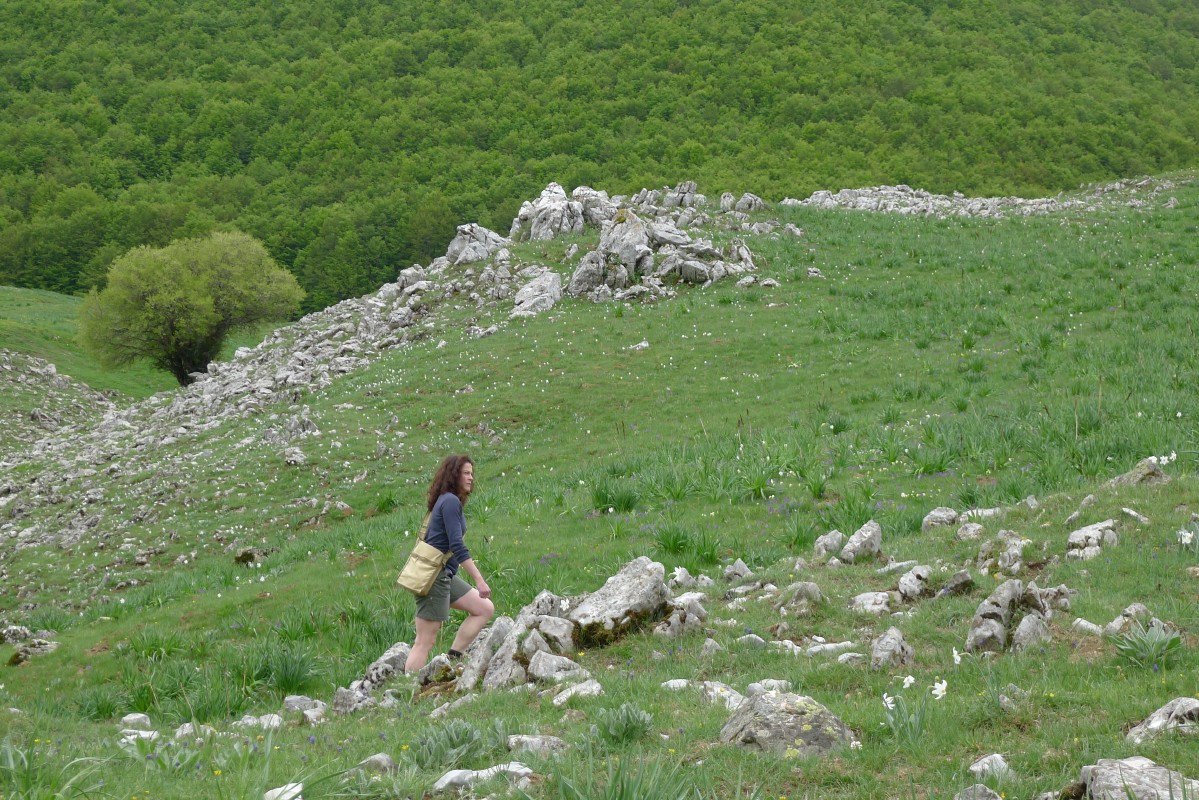 p1040863.jpg