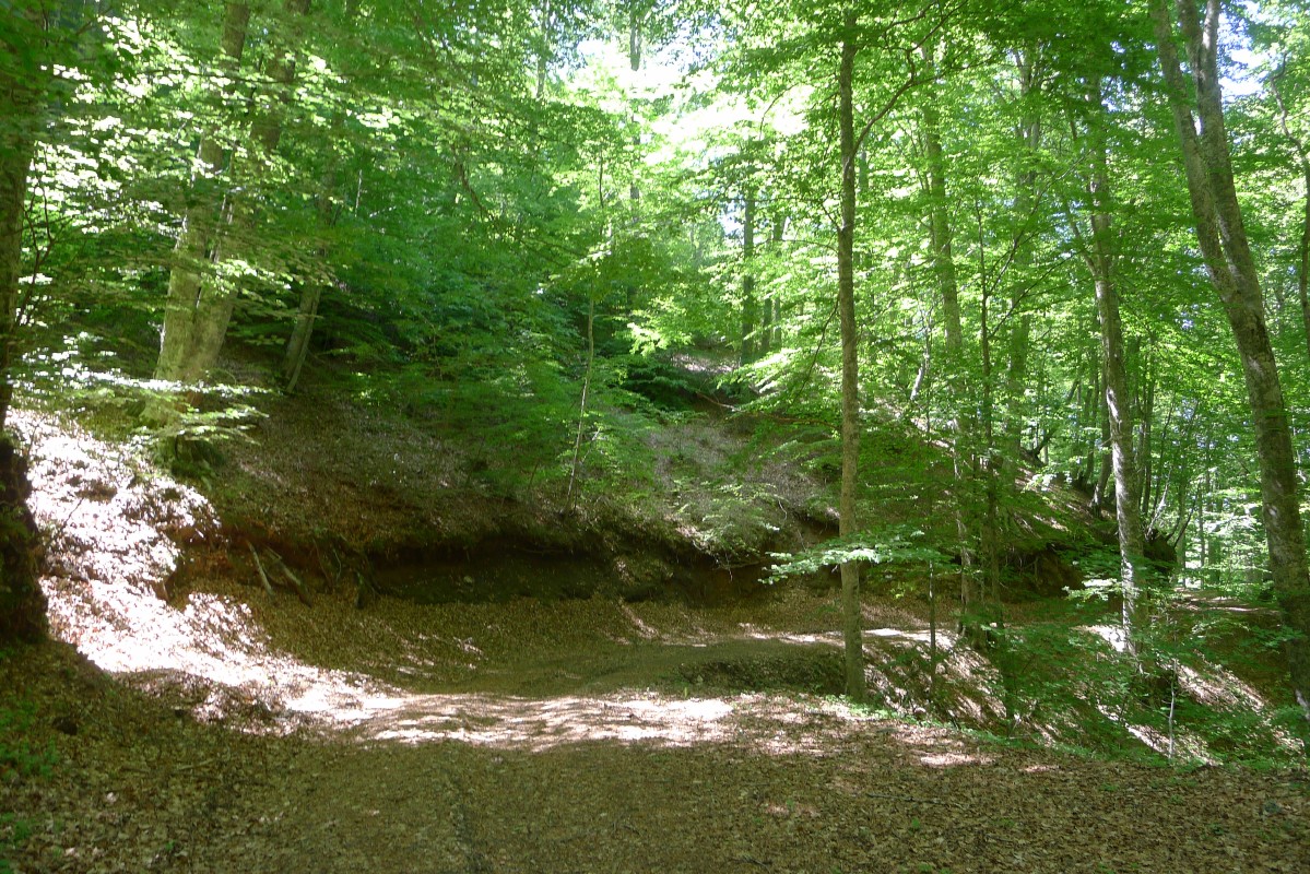 p1050002.jpg