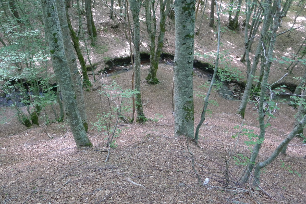 p1050004.jpg